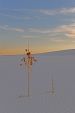 White Sands National Monument
